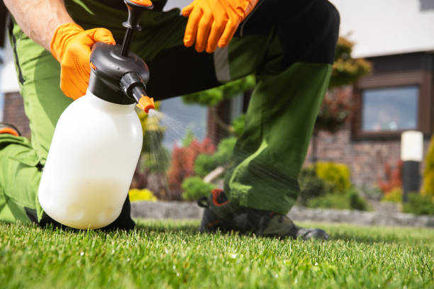 Trusted Wellsville, OH Pest Control Experts