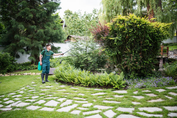 Best Mosquito Control Services  in Wellsville, OH
