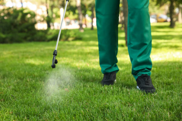 Best Local Pest Control Services  in Wellsville, OH