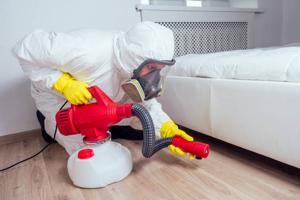 Best Pest Control Treatment  in Wellsville, OH