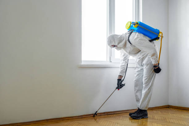 Best Wasp Removal Services  in Wellsville, OH