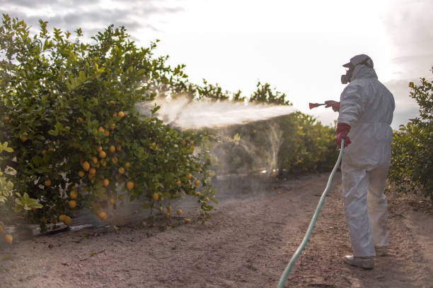 Pest Control for Restaurants in Wellsville, OH