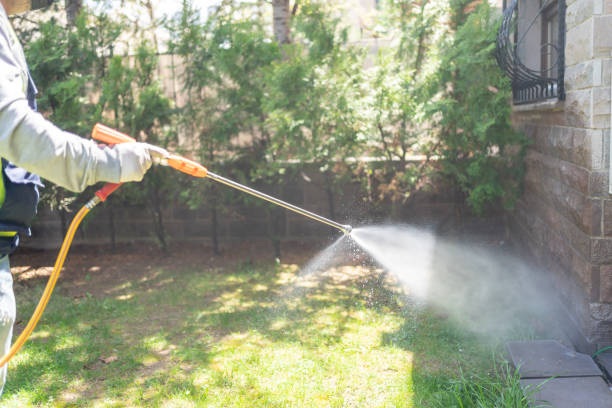 Best Pest Inspection Near Me  in Wellsville, OH