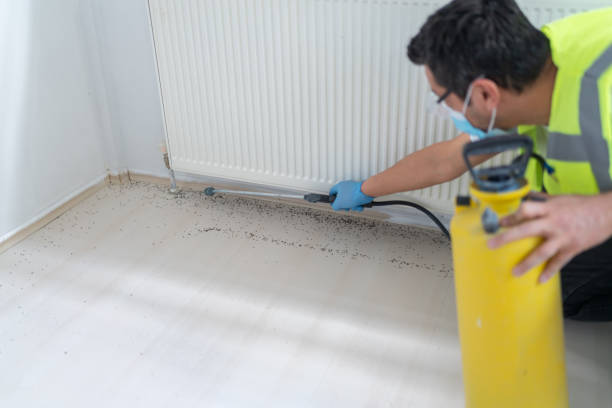 Best Affordable Pest Control Services  in Wellsville, OH
