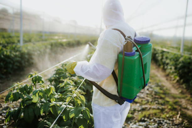Best Best Pest Control Companies  in Wellsville, OH